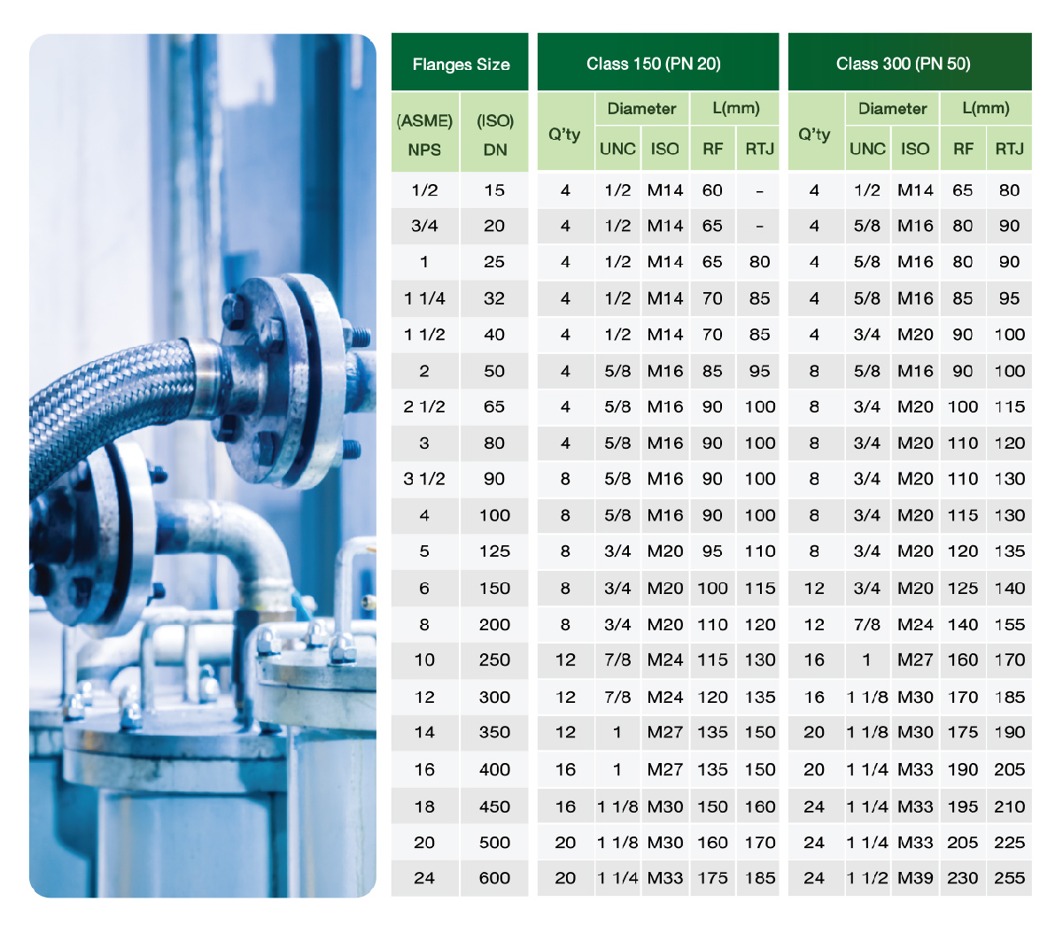 Fastener-StudBolt&NutForFlange-01